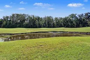 5124 Pinnacle Dr, Oldsmar, FL 34677 - Photo 40