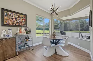 5124 Pinnacle Dr, Oldsmar, FL 34677 - Photo 10