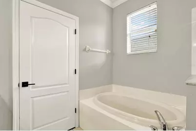 7901 Citrus Blossom Drive, Land O Lakes, FL 34637 - Photo 8