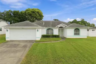 4342 Hedgewood Ave, Spring Hill, FL 34608 - Photo 1