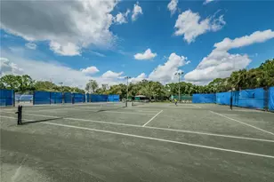 1334 Fallsmeade Ct, Oldsmar, FL 34677 - Photo 46
