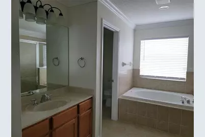 19023 Narimore Drive, Land O Lakes, FL 34638 - Photo 44