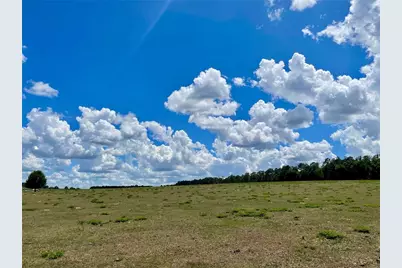 Parrish Grove Road, Dade City, FL 33523 - Photo 12