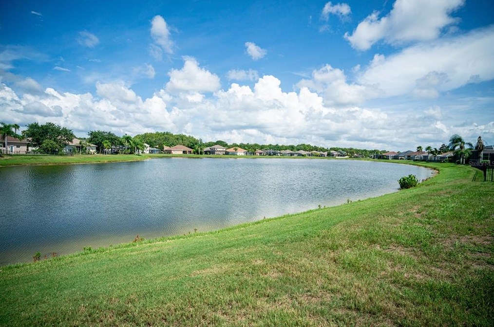 2130 Tarragon Ln, New Port Richey FL  34655-4112 exterior