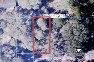 Tba NE 137th Terrace, Fort Mc Coy, FL 32134 - Photo 1