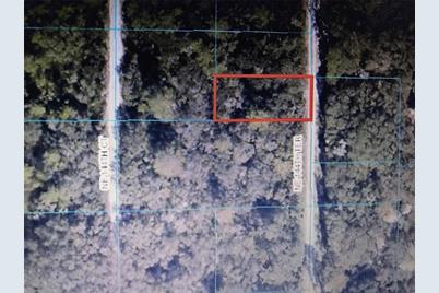 Tba NE 144th Terrace, Fort Mc Coy, FL 32134 - Photo 1
