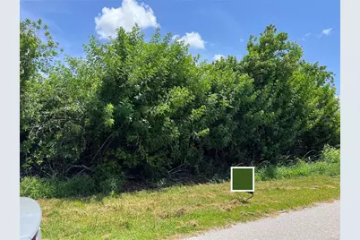 11082 Carnegie Avenue, Englewood, FL 34224 - Photo 2