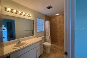 134 Carlyle Dr, Palm Harbor, FL 34683 - Photo 36