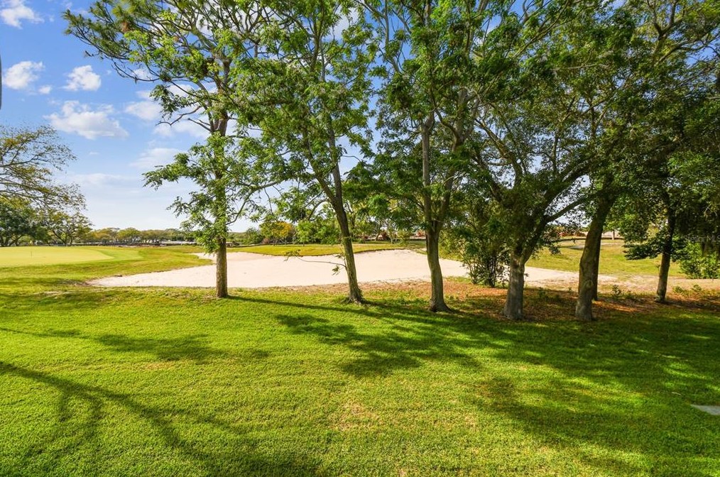 36750 Us Hwy 19 N #26203, Palm Harbor, FL 34684