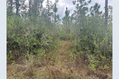 1106 Greenbriar Drive, Christmas, FL 32709 - Photo 2