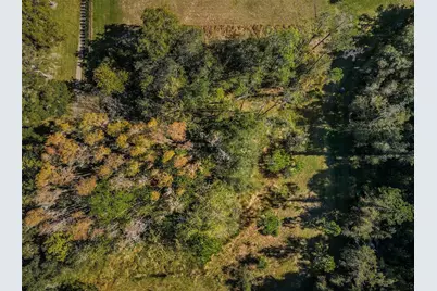 4445 Lansbrook Parkway, Palm Harbor, FL 34685 - Photo 2