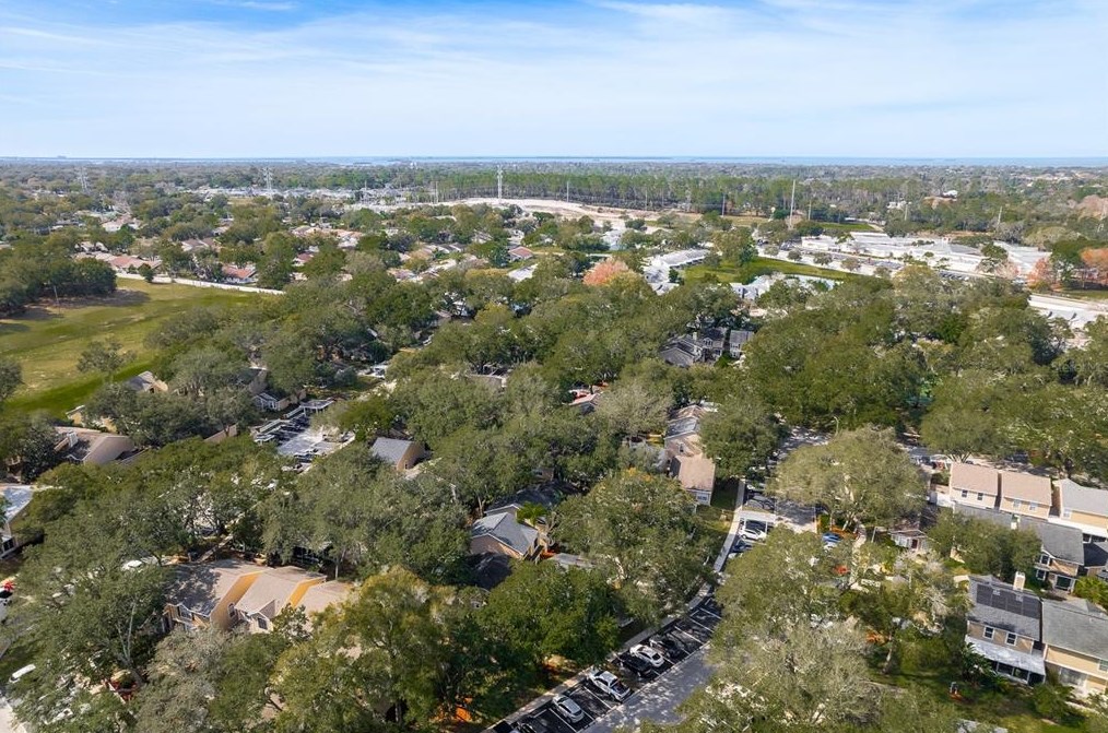 2394 Gun Flint Trl, Palm Harbor FL  34683-2454 exterior