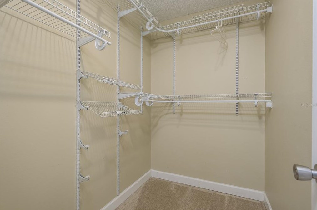 2394 Gun Flint Trl, Palm Harbor FL  34683-2454 exterior