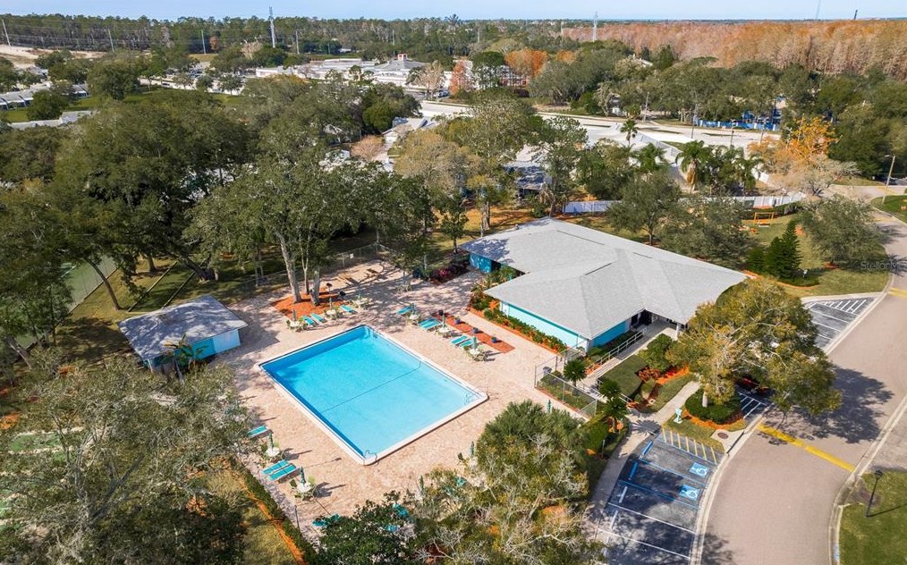 2394 Gun Flint Trl, Palm Harbor FL  34683-2454 exterior