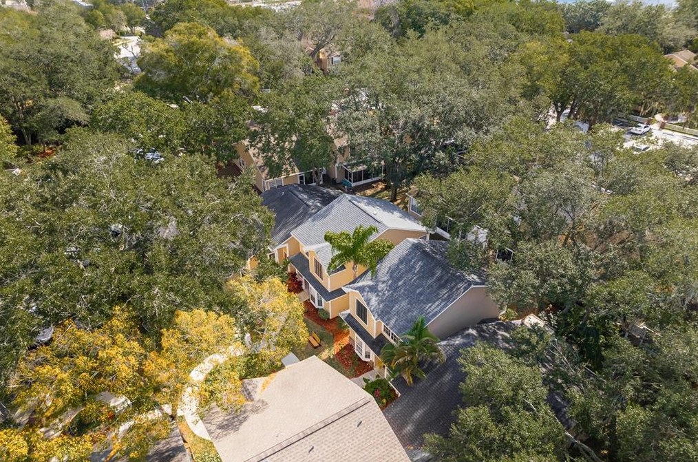 2394 Gun Flint Trl, Palm Harbor FL  34683-2454 exterior