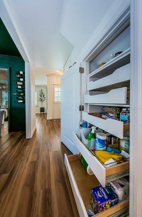 2219 Occident St, Tampa FL  33629-5423 exterior