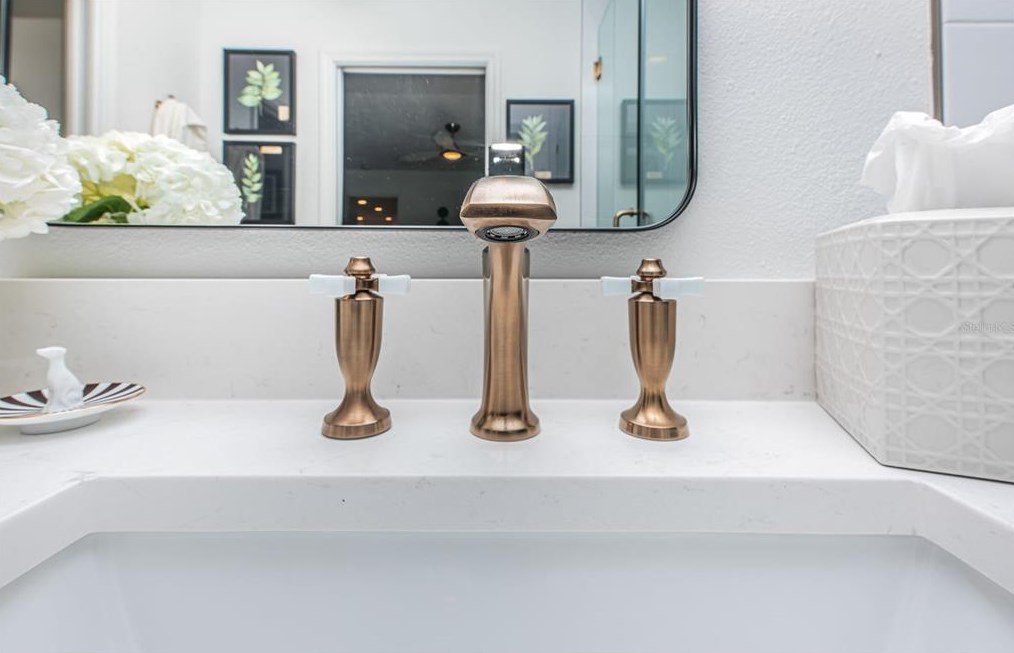 2219 Occident St, Tampa FL  33629-5423 exterior