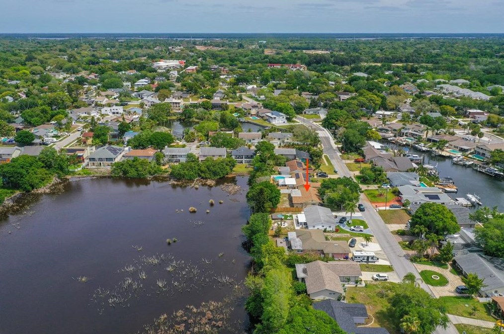 381 Westwinds Dr, Palm Harbor FL  34683-1041 exterior