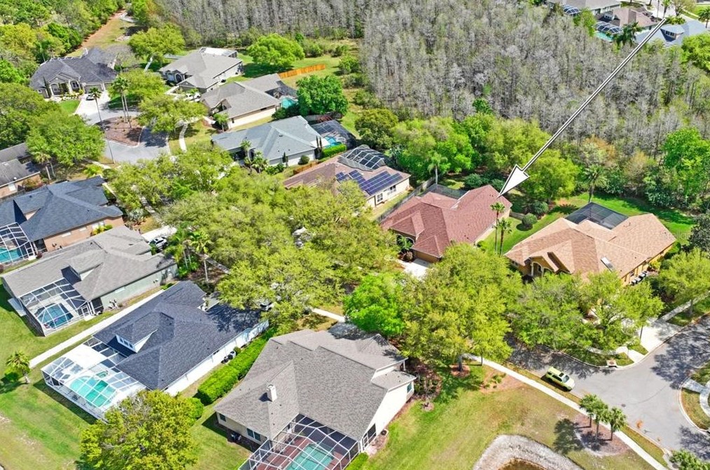 5412 Garden Arbor Dr, Lutz FL  33558-9098 exterior