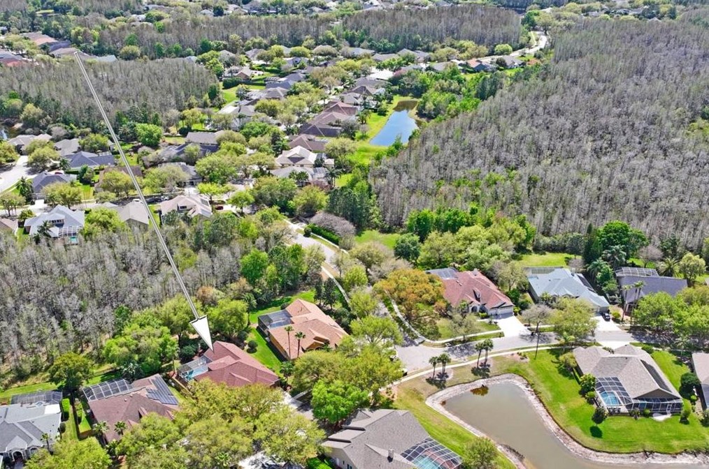 5412 Garden Arbor Dr, Lutz FL  33558-9098 exterior