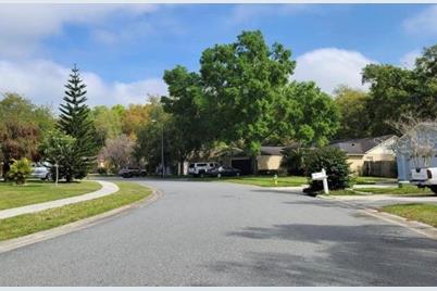 24449 Painter Drive, Land O Lakes, FL 34639 - Photo 4