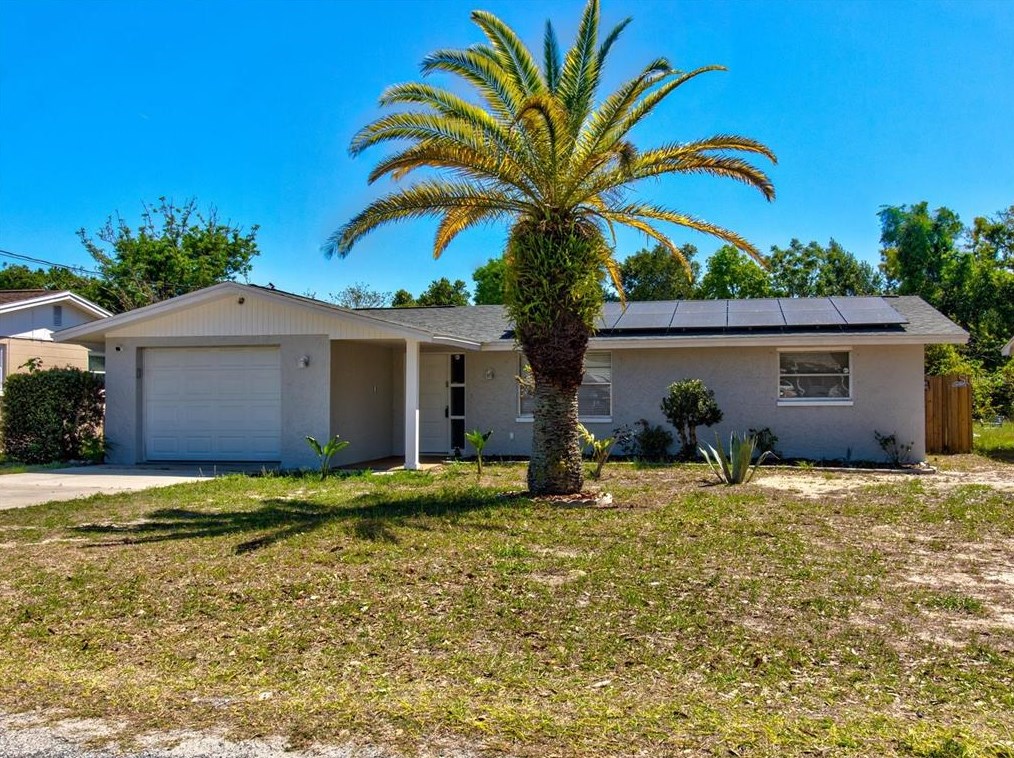 4836 Ann Dr, Tarpon Springs, FL 34690