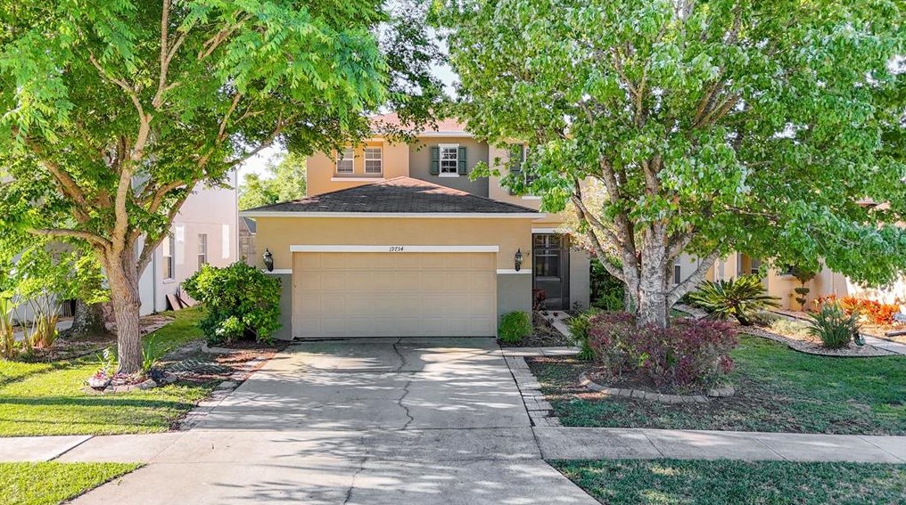 19754 Timberbluff Dr, Land O Lakes, FL 34638-2601
