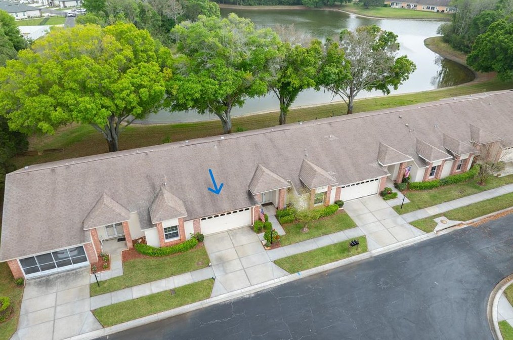 9138 Cotswald Way, New Port Richey, FL 34655-1319