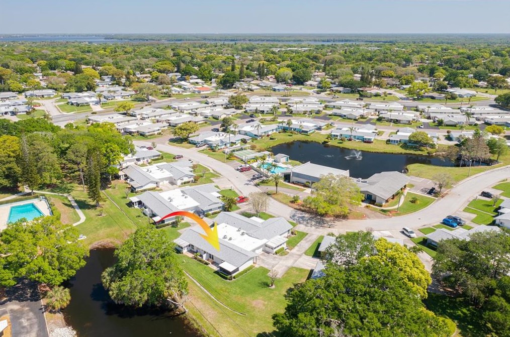 1305 Whitebridge Dr, Palm Harbor FL  34684-2558 exterior