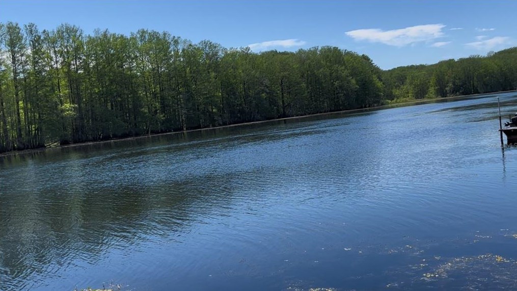 12375 Walton Dr, Floral City FL  34436-2661 exterior