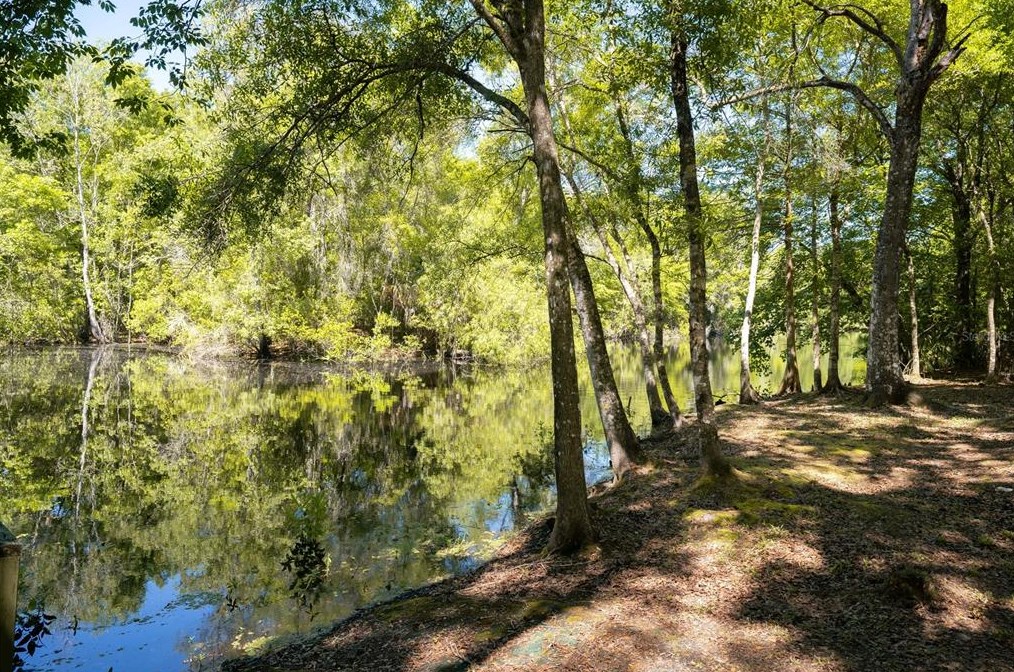 12375 Walton Dr, Floral City FL  34436-2661 exterior