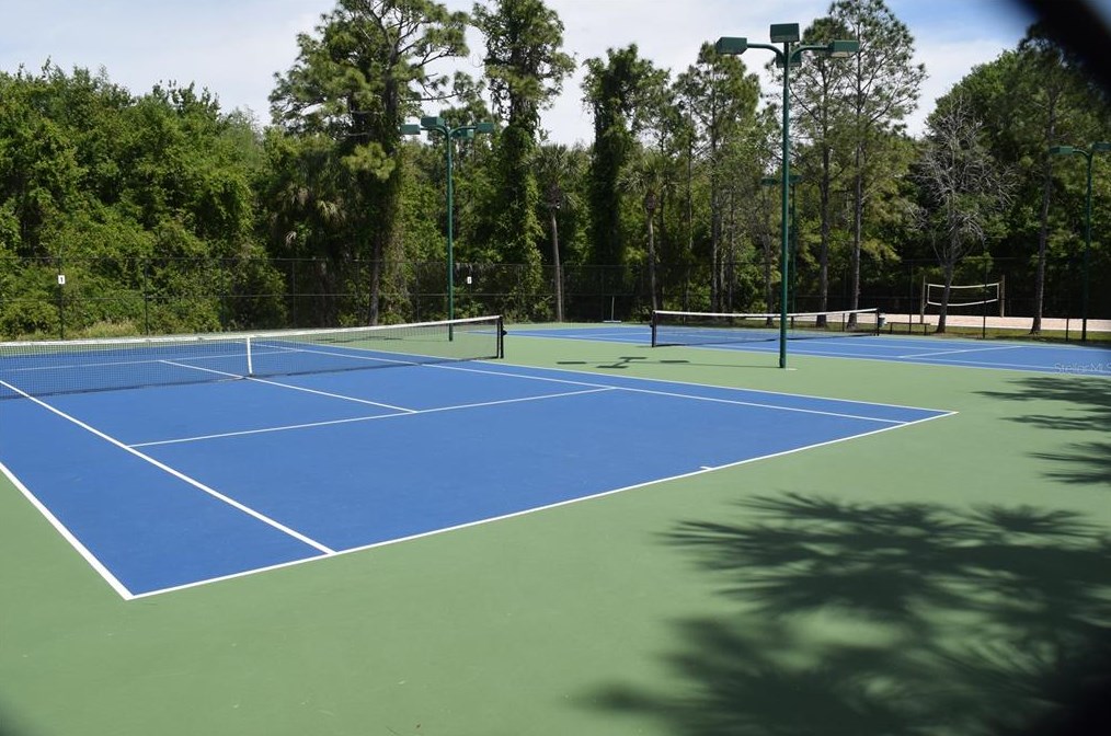 31836 Turkeyhill Dr, Zephyrhills FL  33543-7659 exterior