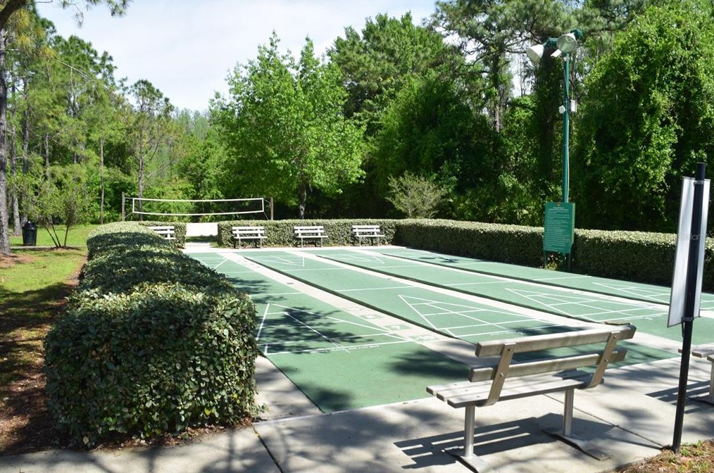 31836 Turkeyhill Dr, Zephyrhills FL  33543-7659 exterior