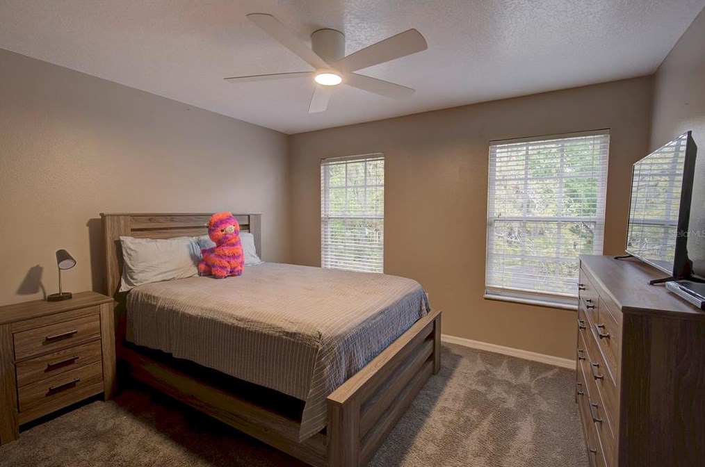 8033 Moonlight Ln, New Port Richey FL  34654-5433 exterior