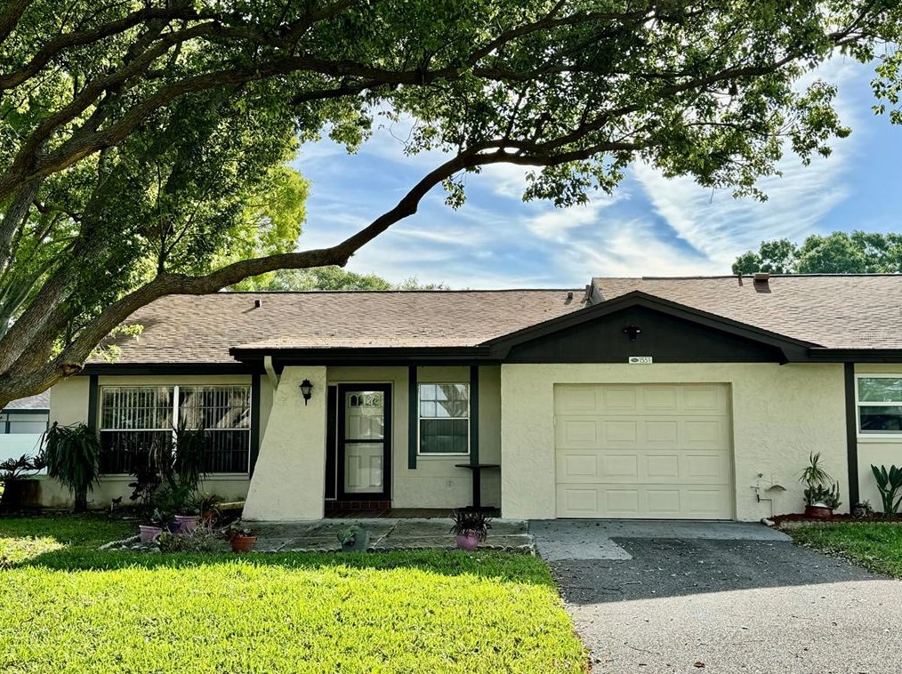 1551 Patton Dr, Dunedin, FL 34698