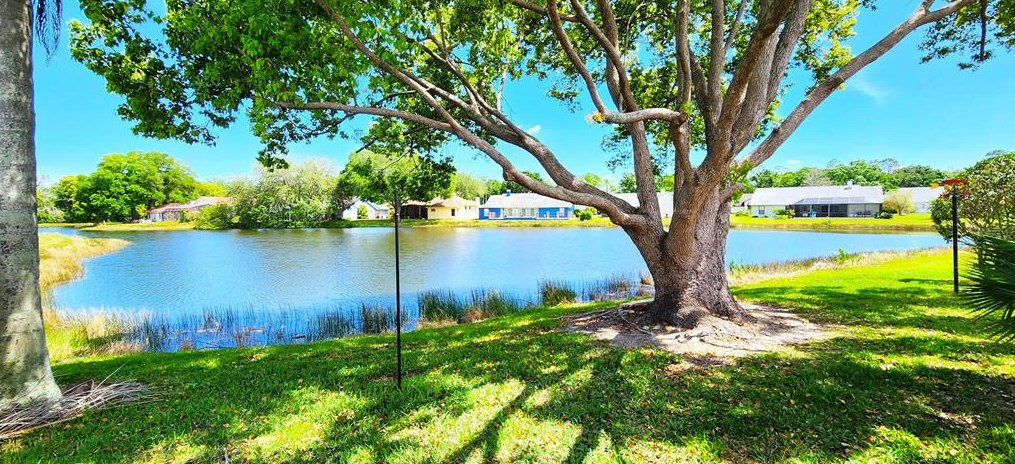 401 Waterford Cir, Tarpon Springs, FL 34688-7205