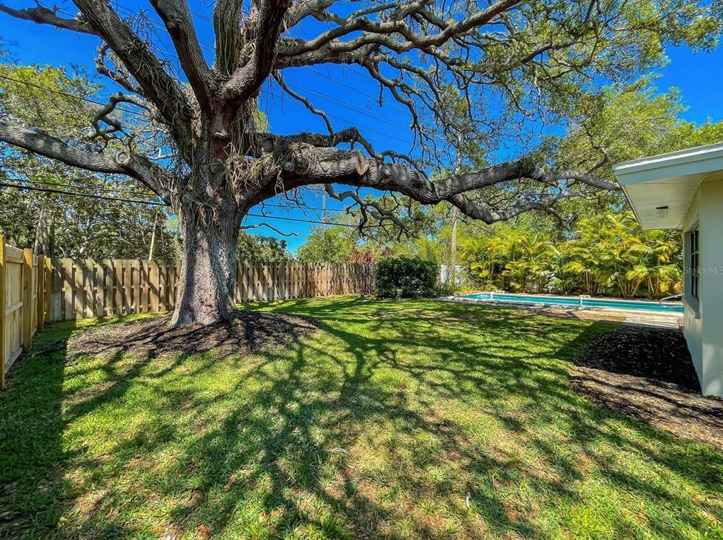 926 Lexington Dr, Dunedin FL  34698-8215 exterior