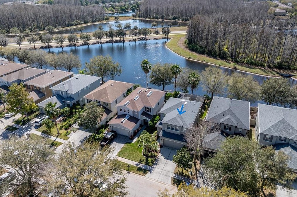 17454 Sandgate Ct, Land O Lakes, FL 34638-7854