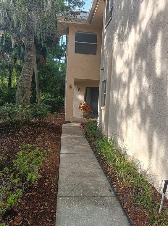 201 Clays Trl, Oldsmar, FL 34677