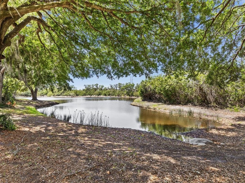 1464 Watermill Cir, Tarpon Springs FL  34689-7030 exterior