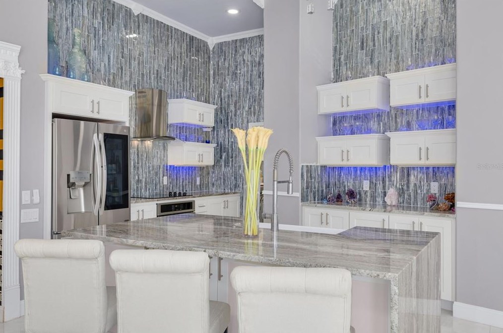 4690 Laurel Oak Ln, Saint Petersburg FL  exterior