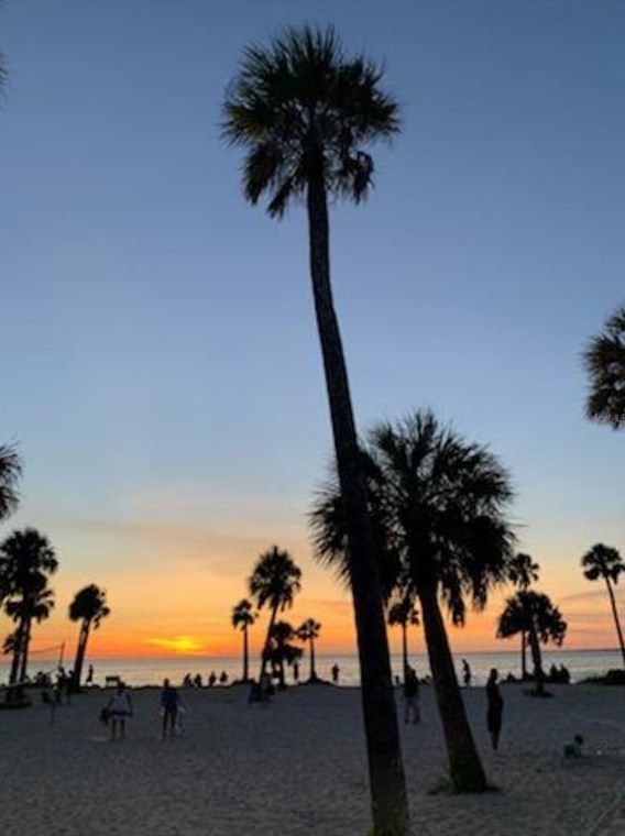 143 Melody Ln, Tarpon Springs FL  34689-5027 exterior