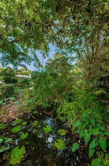 5317 18th Ave, Saint Petersburg FL  33710-5107 exterior