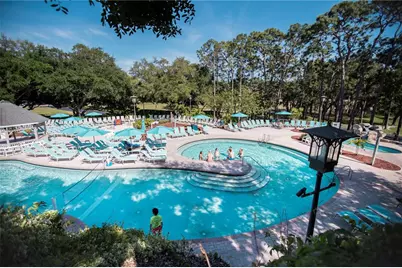 36750 US 19 #2052, Palm Harbor, FL 34684 - Photo 46