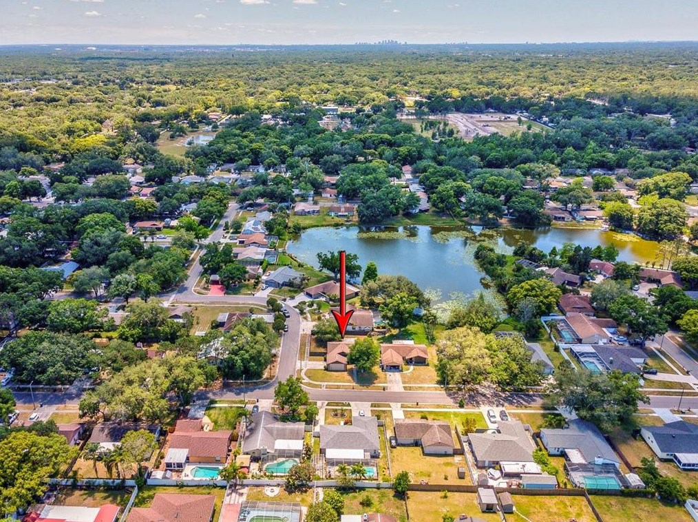 17637 Meadowbridge Dr, Lutz FL  33549-5574 exterior