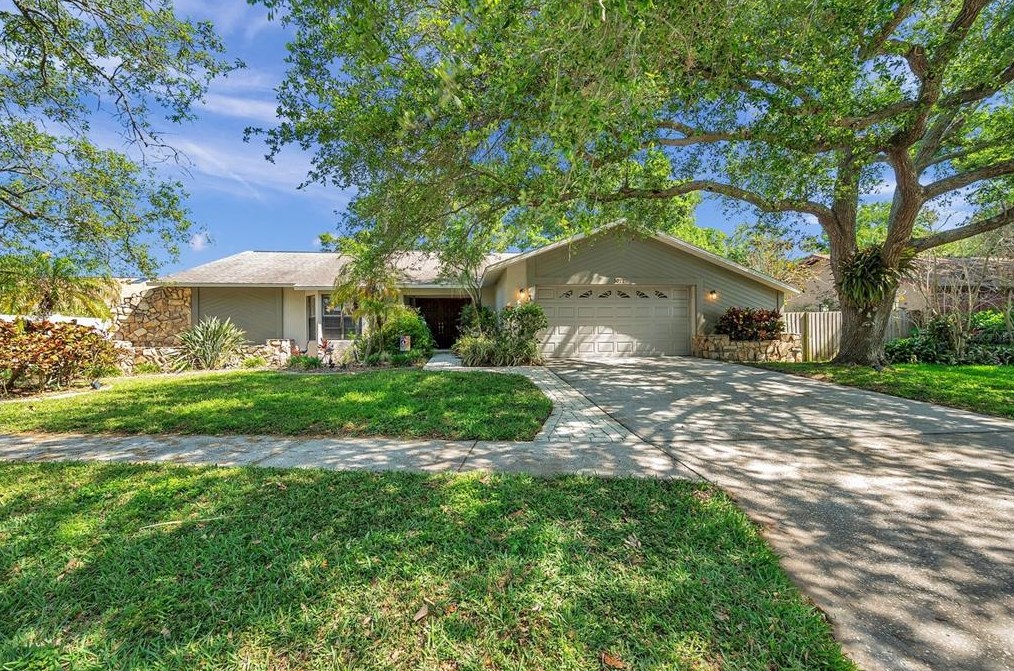 3077 Valencia Ln, Palm Harbor, FL 34684-4051