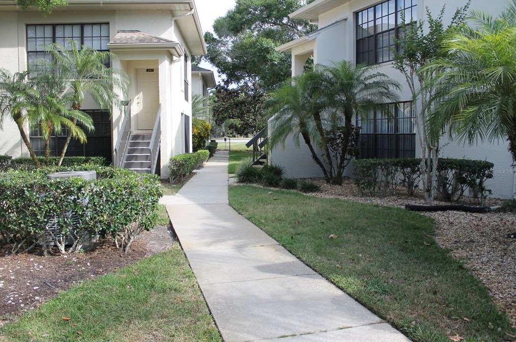 3366 Mermoor Dr #1102, Palm Harbor, FL 34685
