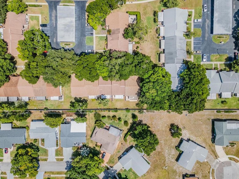 2582 Bentley Dr, Palm Harbor FL  34684-1804 exterior