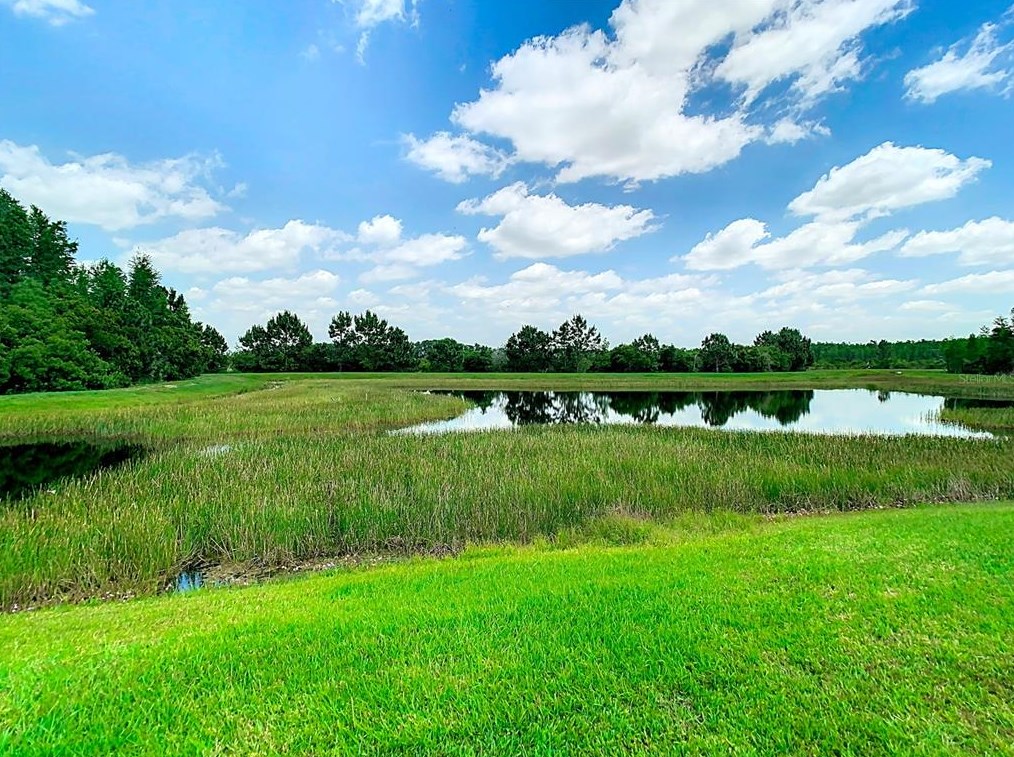 3875 Tristram Loop, Land O Lakes FL  34638-3014 exterior