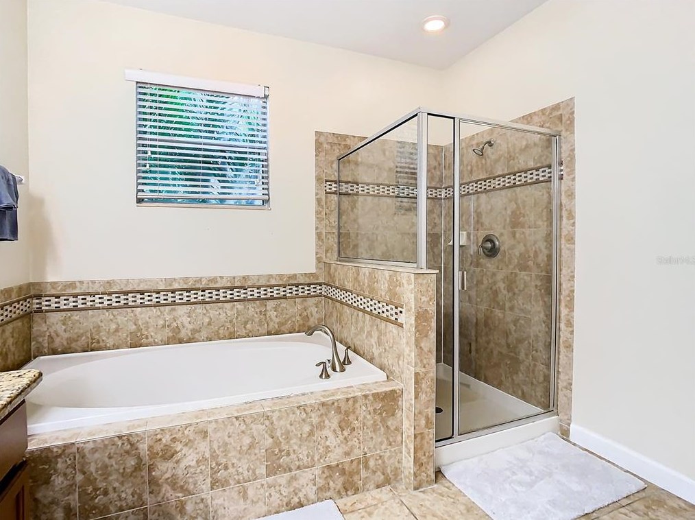 3875 Tristram Loop, Land O Lakes FL  34638-3014 exterior